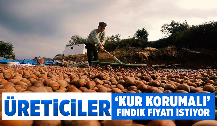 Kur korumalı fındık fiyatı talebi