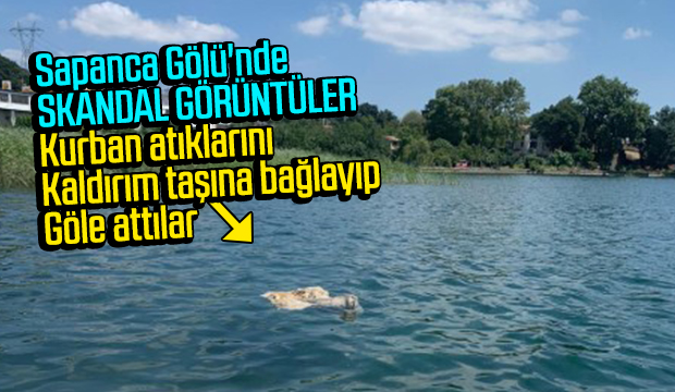 Kurban atıklarını Sapanca Gölü'ne attılar