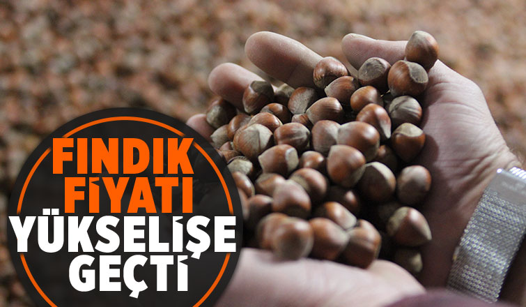Kurban Bayramı sonrası fındık fiyatı yükselişe geçti