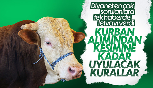 Kurban ibadeti ile ilgili dikkat edilmesi gerekenler