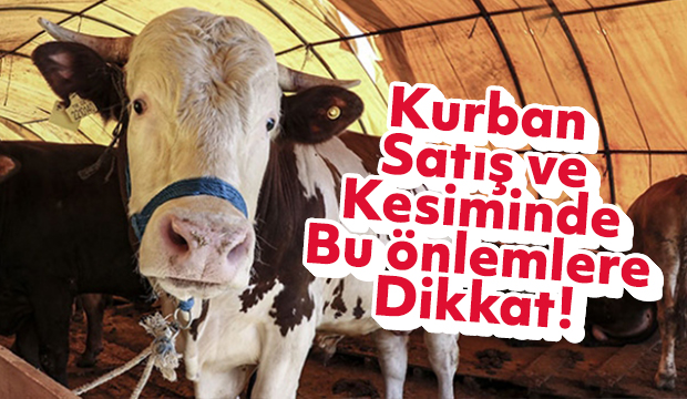 Kurban kesiminde bu önlemlere dikkat