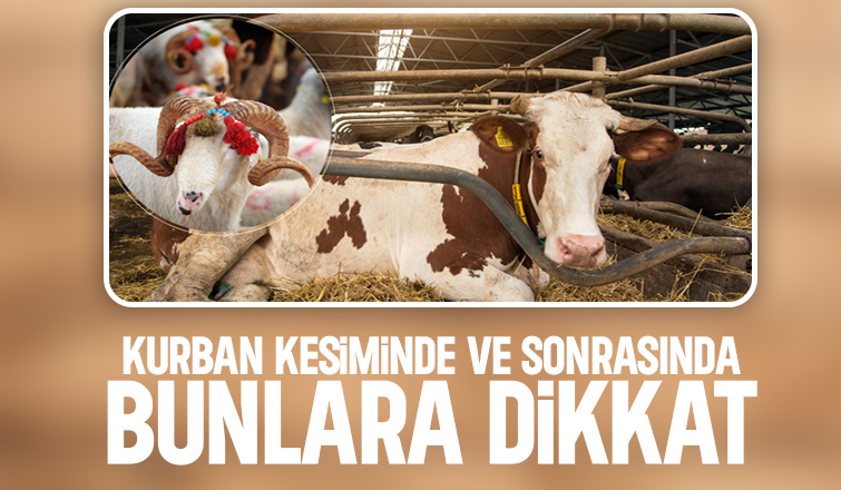 Kurban kesiminde önemli uyarılar
