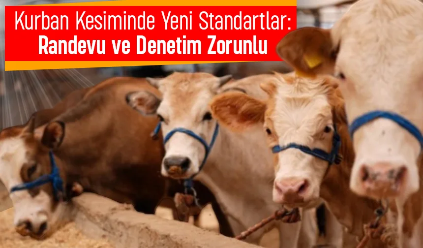 Kurban satış ve kesim yerleri için yeni kriterler belirlendi