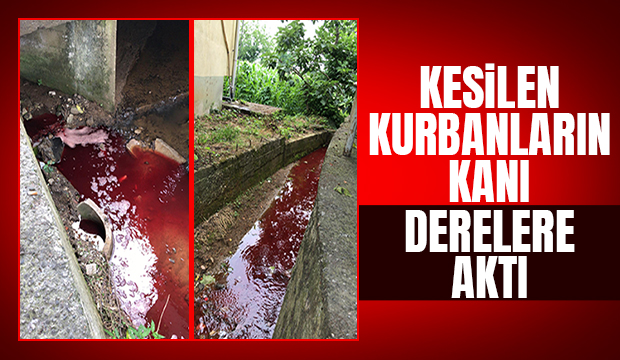 Kurbanda istenmeyen görüntüler