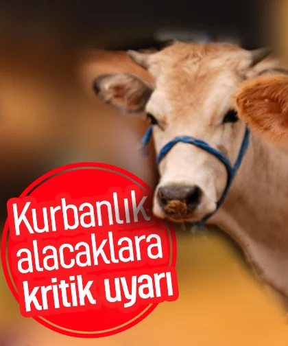 Kurbanlık alacaklara kritik uyarı