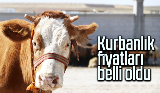 Kurbanlık fiyatları belli oldu