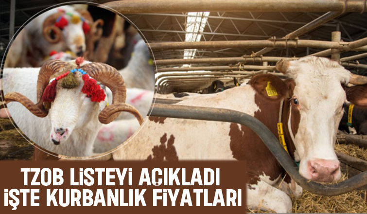 Kurbanlık fiyatlarında son durum açıklandı