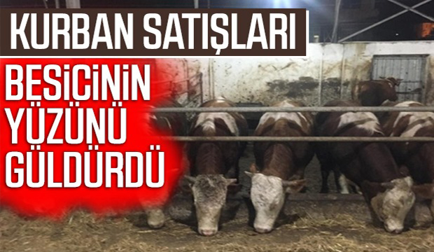 Kurbanlık satışları besicinin yüzünü güldürdü