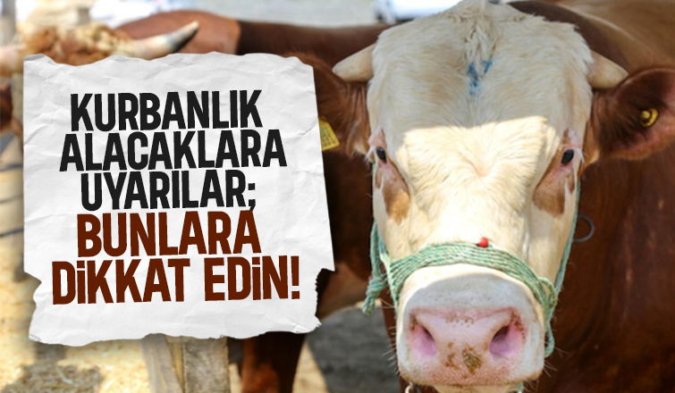 Kurbanlık seçerken bunlara dikkat