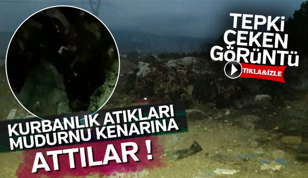 Kurbanlıkların atıklarını Mudurnu kenarına attılar