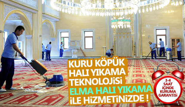 KURU KÖPÜK HALI YIKAMA TEKNOLOJiSi AKYAZIDA