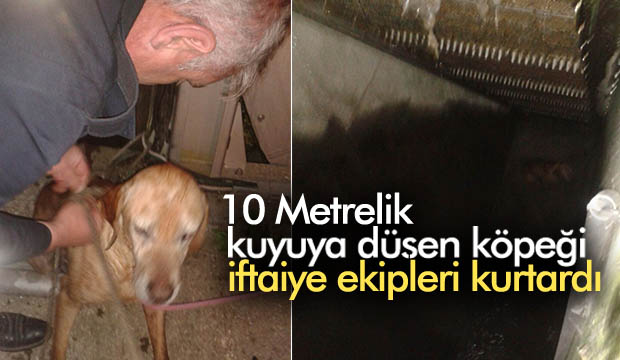 Kuyuya Düşen Köpeği İtfaiye Kurtardı