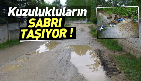 Kuzuluk Mahalle Sakinleri Bir Ağızdan Haykırıyor