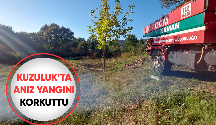 Kuzuluk'ta yangın