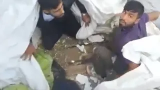 Lahanaların arasına gizlenen 4 Afgan kaçak yakalandı
