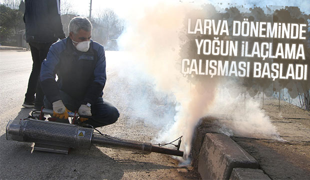 LARVA DÖNEMİNDE YOĞUN İLAÇLAMA ÇALIŞMASI BAŞLADI