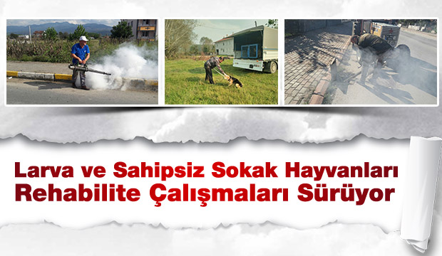 LARVA MÜCADELESİ ve SAHİPSİZ SOKAK HAYVANLARI REHABİLİTE ÇALIŞMALARI SÜRÜYOR