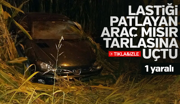 Lastik Patlayınca Mısır Tarlasına Uçtu 1 Yaralı