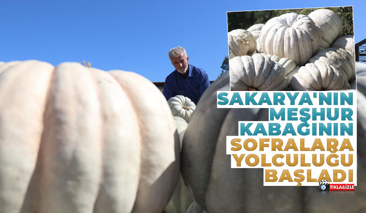  Lezzetiyle büyüleyen bal kabağının sofralara yolculuğu başladı