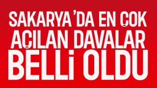 Mahkemelerde yoğunluk: Sakarya’nın dava haritası