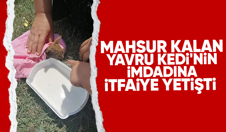 Mahsur kalan Yavru kediyi itfaiye ekibi kurtardı