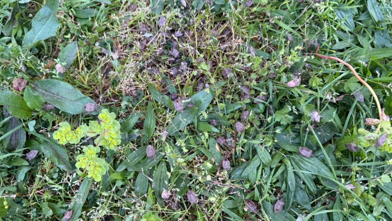 Makineyi çalıştırınca gözlerine inanamadı