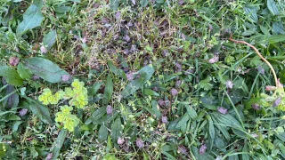 Makineyi çalıştırınca gözlerine inanamadı