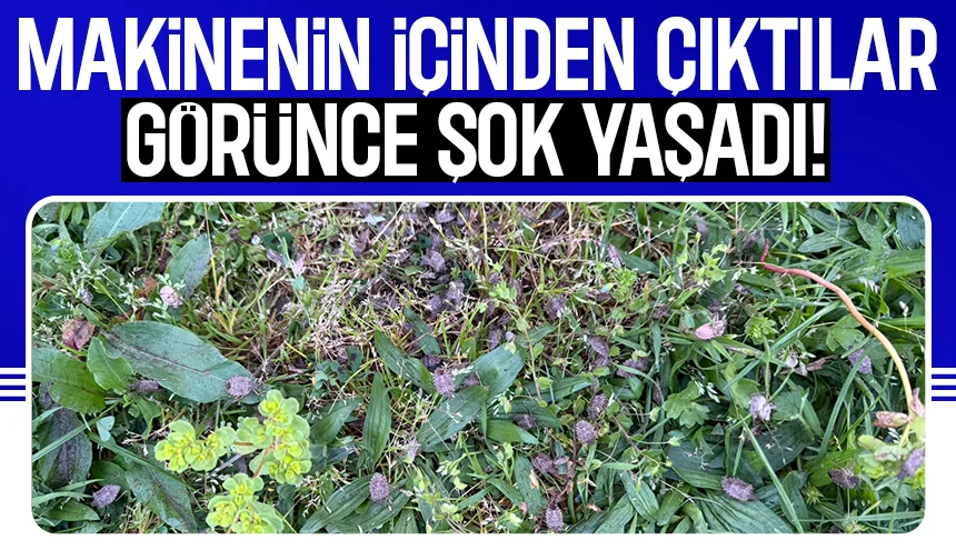 Makineyi çalıştırınca gözlerine inanamadı