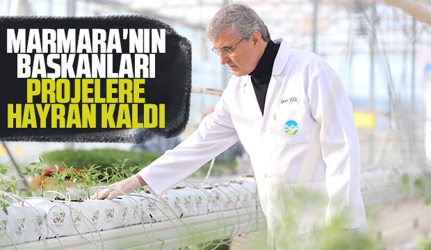 Marmara'nın başkanları Akyazı'da sera merkezini gezdi