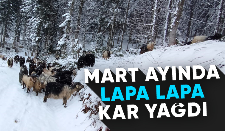 Mart ayında kış kar yağdı