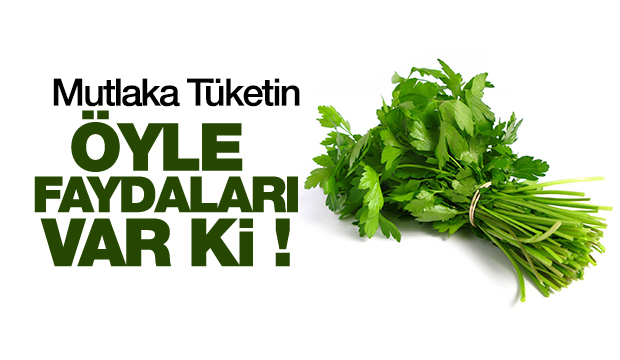 Maydanozun Faydaları