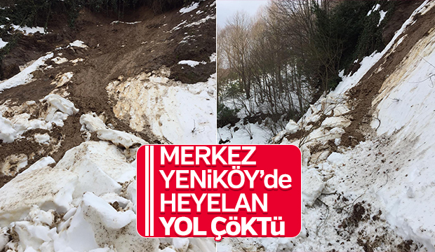 Merkez Yeniköyde heyelan