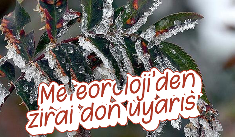 Meteoroloji'den zirai don uyarısı