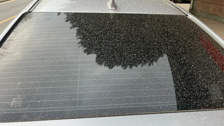 Meteoroloji uyarı yapmıştı, araçlar tozla kaplandı