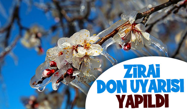 Meteorolojiden zirai don uyarısı