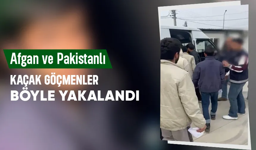 Minibüste 13 Afgan ve Pakistanlı kaçak yakalandı