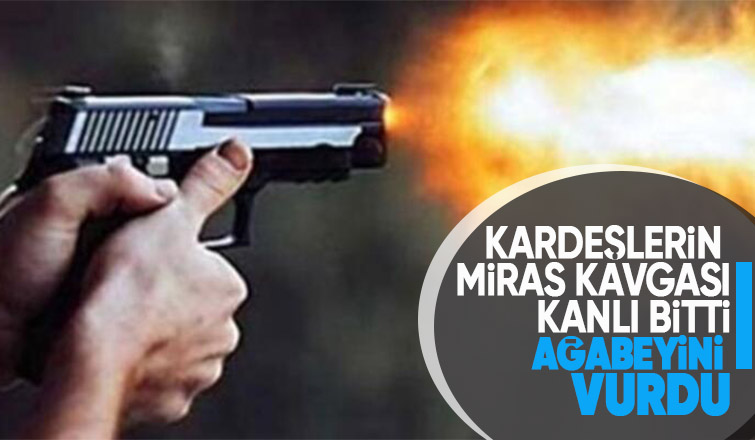 Miras kavgasında ağabeyini vurdu