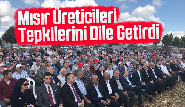 Mısır üreticileri tepkilerini dile getirdi