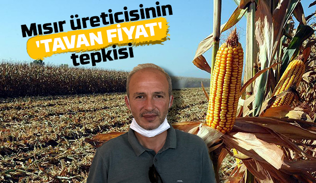 Mısır üreticisi tepkili