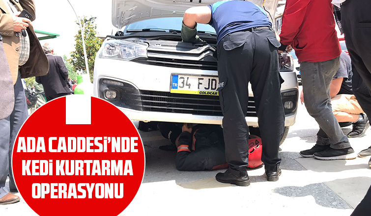 Motor Kısmına Giren yavru kediyi kurtarma operasyonu