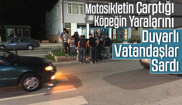Ada Caddesinde Köpeğe Motor Çarptı