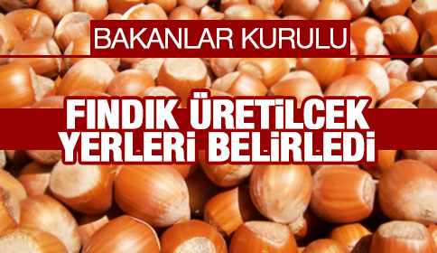 Bakanlar Kurulu Fındık Üretilecek Yerleri Belirledi