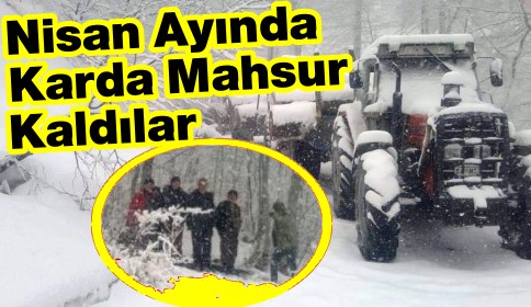 Nisan Ayında Yağan Kar Ormanda Mahsur Bıraktı