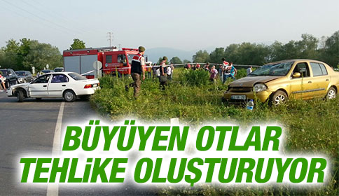 Büyüyen Otlar Tehlike Oluşturuyor