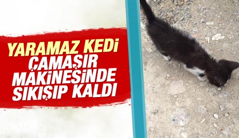 Çamaşır Makinesine Giren Kediyi İtfaiye Kurtardı