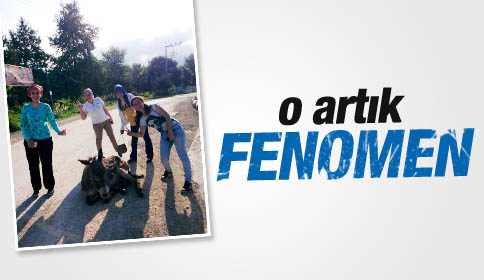 Maheye İnen Eşşek İlgi Çekiyor