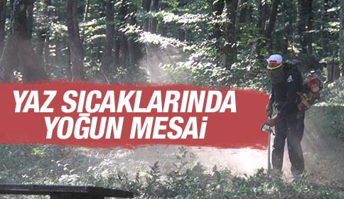 Akyazı Belediyesi Fen İşlerinden Yaz’ın Sıcaklarında Yoğun Mesai