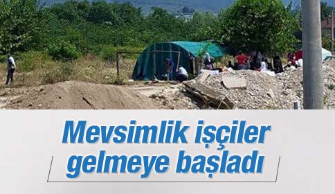 Mevsimlik İşçiler Gelmeye Başladı