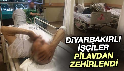 Fındık İşçileri Pilavdan Zehirlendi