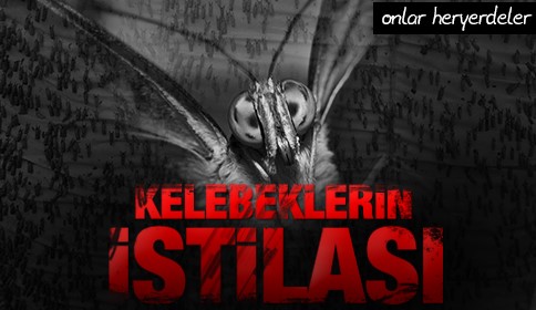 Kelebekler Heryerdeler